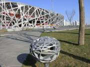 baby bird\'s nests next to mother of all bird\'s nests