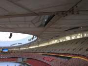 inside the bird\'s nest