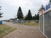 chish n fips, coogee