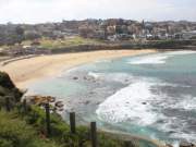 bronte