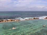 swim lanes, bronte