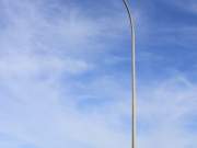 pelican, narrabeen lakes