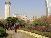 radisson hotel and samsung building