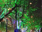 nightlights on huaihai road