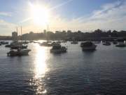 manly harbour