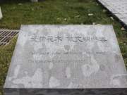 doing the civilization visitor